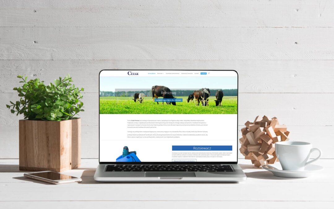 Strona internetowa Cezak Partner