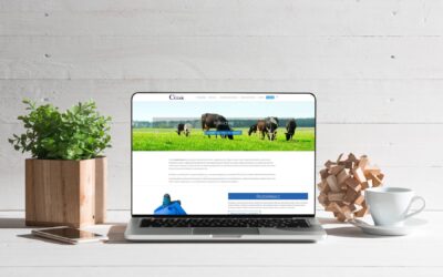 Strona internetowa Cezak Partner