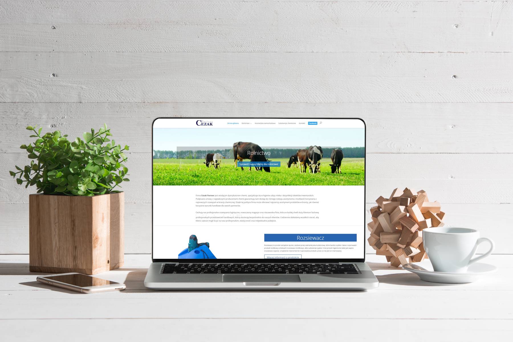 Wizualizacja projektu strony internetowej firmy firmy Cezak Partner.